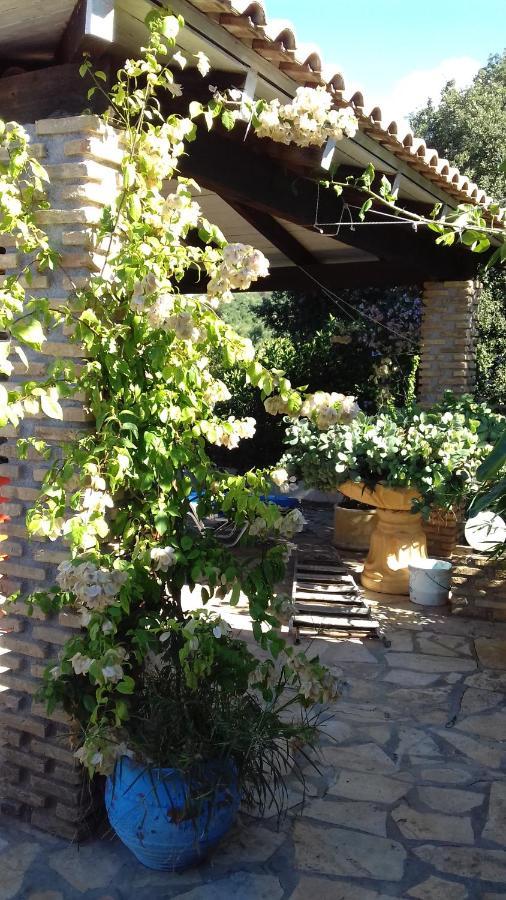 Mila LA villa Kástro Tornéze Esterno foto